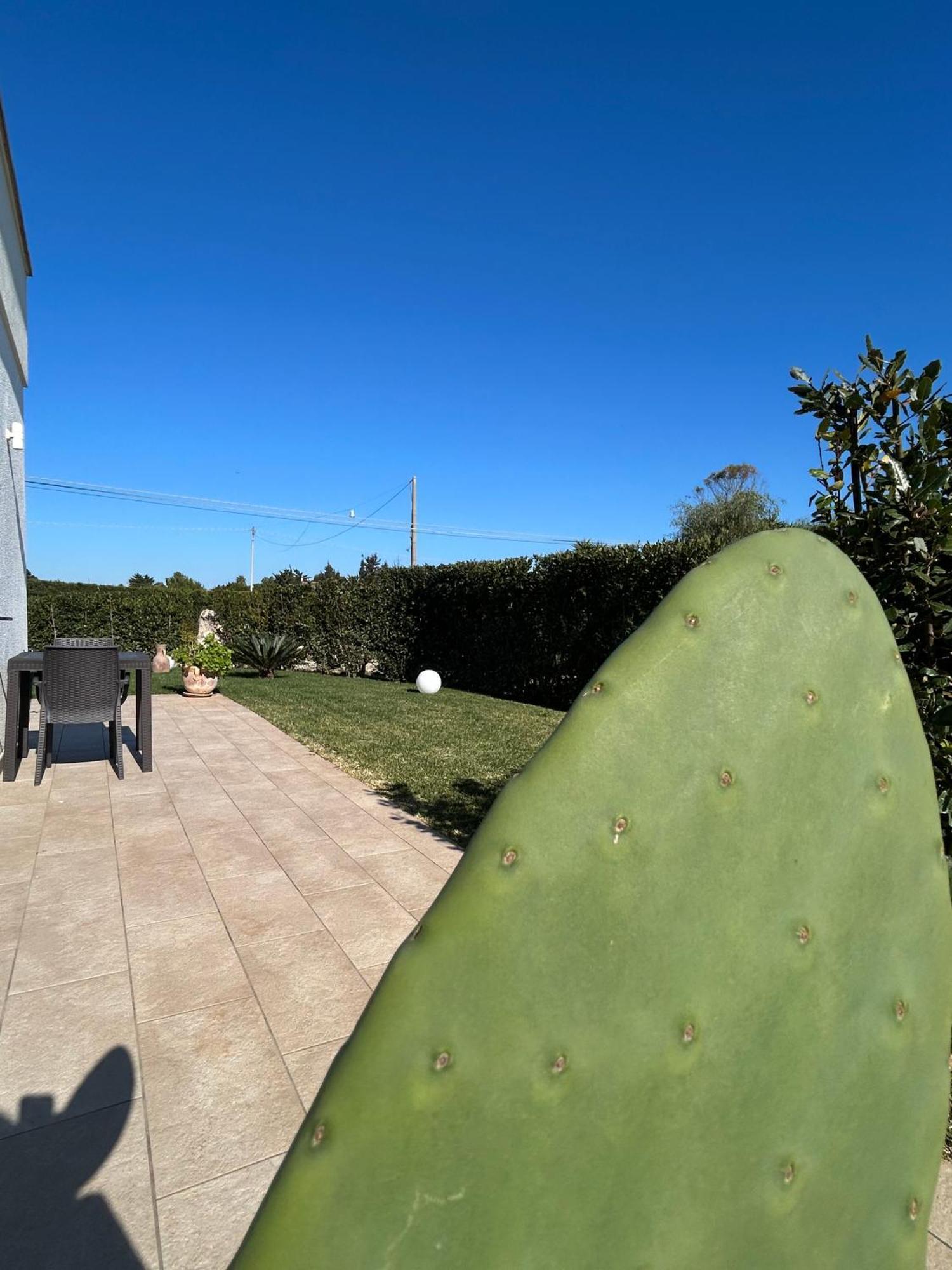 Paluna Otranto Exteriör bild
